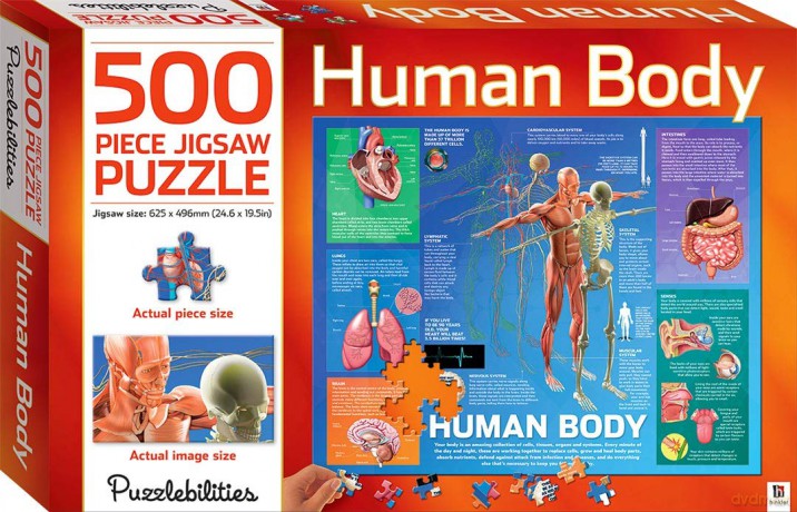 500 Piece Jigsaw Human Body [KSIĄŻKA]
