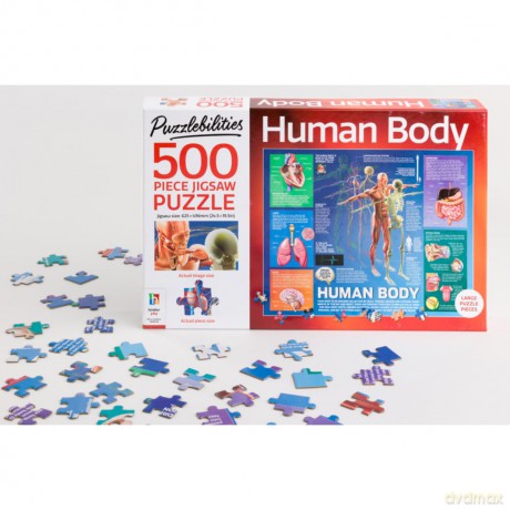 500 Piece Jigsaw Human Body [KSIĄŻKA]