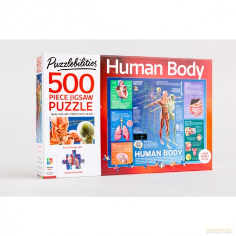500 Piece Jigsaw Human Body [KSIĄŻKA]