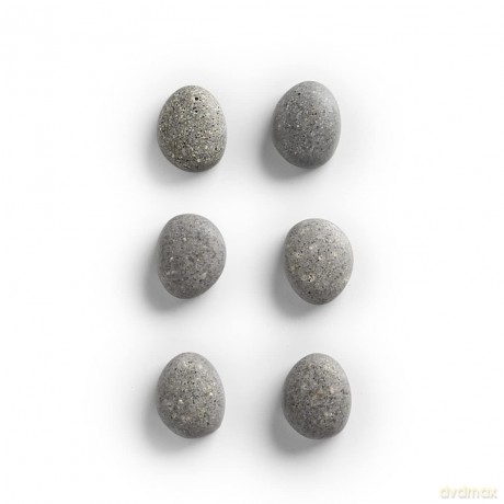 Zeller: 6 Zeller Stone Magnete grau 2,1 x 1,8 x