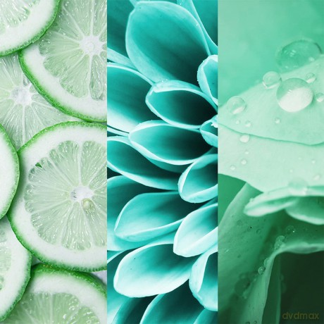 8x4 FRESH LIME Deo-Spray 150,0 ml