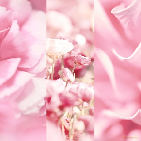 8x4 VELVET BLOSSOM Deo-Spray 150,0 ml