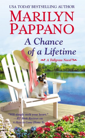 A Chance of a Lifetime [KSIĄŻKA]