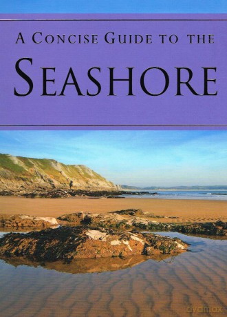 A Concise Guide To Seashore [KSIĄŻKA]