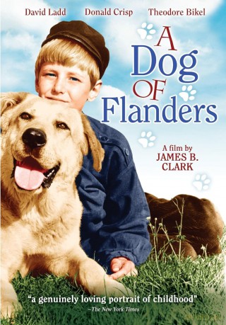 A Dog Of Flanders [DVD]