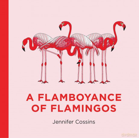 A Flamboyance of Flamingos [KSIĄŻKA]