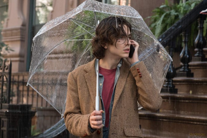 A Rainy Day In New York [DVD]