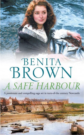 A Safe Harbour [KSIĄŻKA]