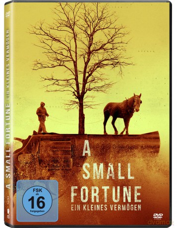 A Small Fortune-Ein Kleines Vermoegen [DVD]