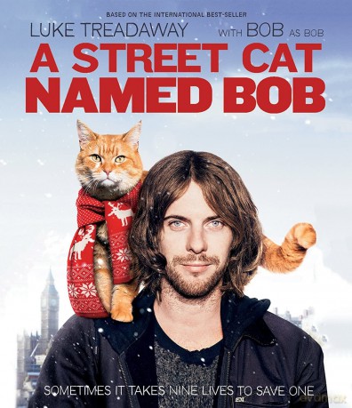 A Street Cat Named Bob [DVD]