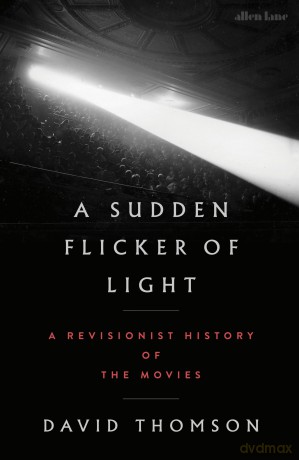 A Sudden Flicker of Light [KSIĄŻKA]