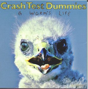 Crash Test Dummies: A Worm's Life