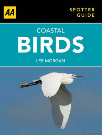 Aa Spotter Guide Coastal Birds [KSIĄŻKA]