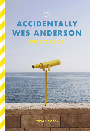 Accidentally Wes Anderson Postcards [KSIĄŻKA]