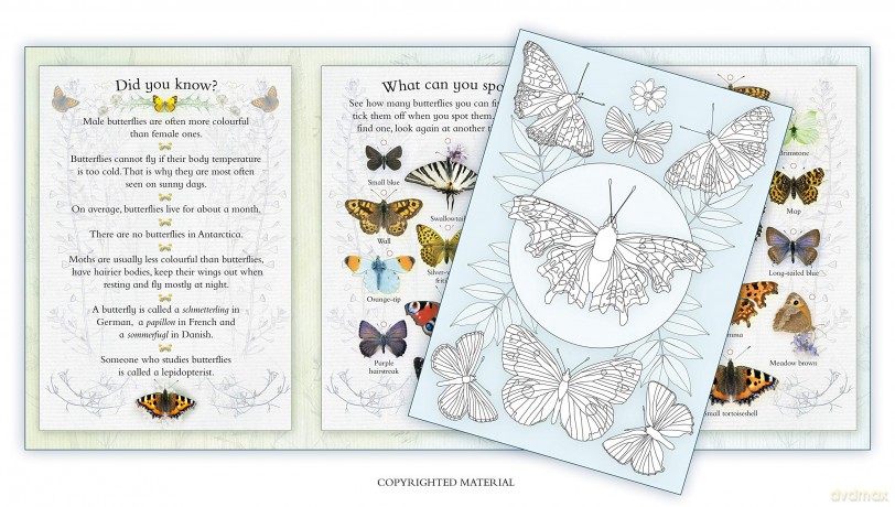 Activity Pack Butterfly [KSIĄŻKA]