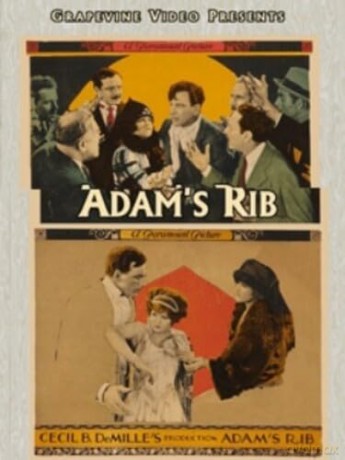 Adam's Rib [DVD]