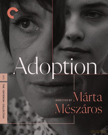 Adoption [Blu-Ray]