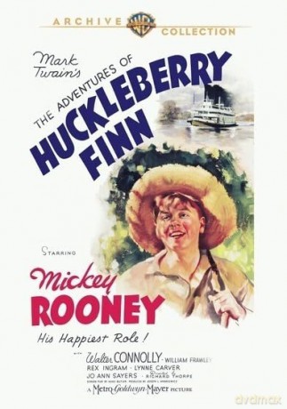 Adventures Of Huck Finn [DVD]