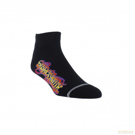 Aerosmith Rock Tour Logo Liner (One Size)