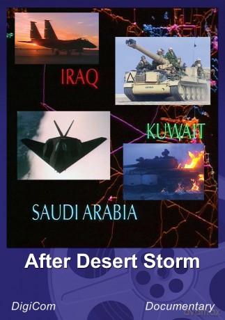 After Desert Storm [DVD]