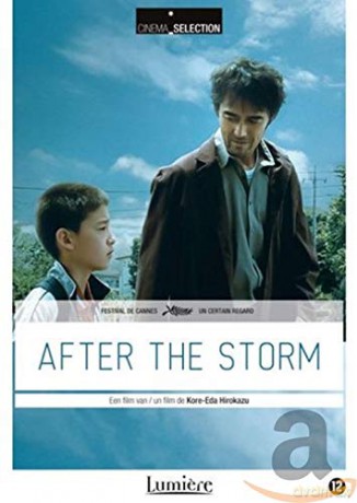 After The Storm [DVD]