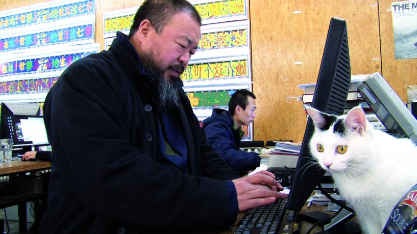 Ai Weiwei: Never Sorry [DVD]