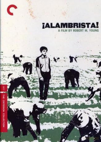 Alambrista [DVD]