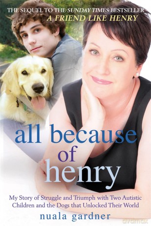 All Because of Henry [KSIĄŻKA]