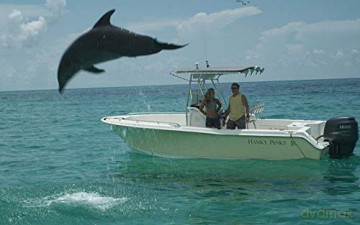 Alyssa und ihr Delphin [DVD]