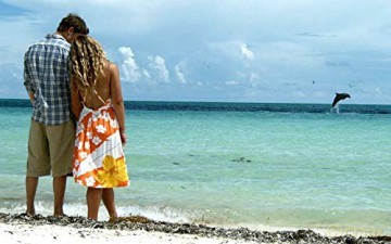 Alyssa und ihr Delphin [DVD]