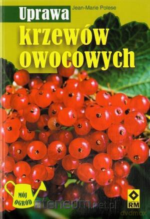 Uprawa krzewów owocowych [KSIĄŻKA]