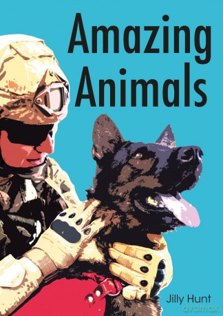 Amazing Animals Set 11 [KSIĄŻKA]