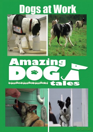 Amazing Dog Tales - Dogs At Work [DVD]