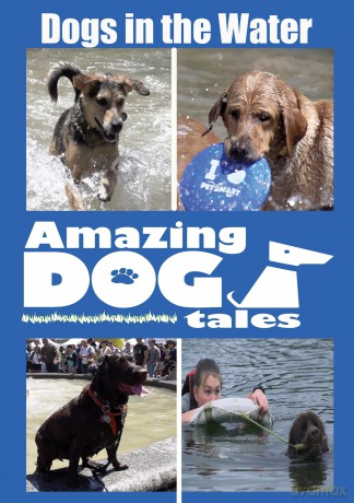 Amazing Dog Tales - Dogs In The Water [DVD]