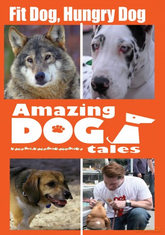Amazing Dog Tales - Fit Dog, Hungry Dog [DVD]