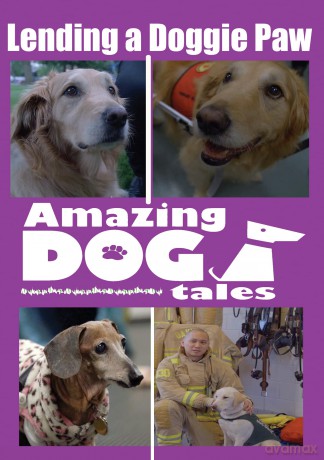 Amazing Dog Tales - Lending A Doggie Paw [DVD]