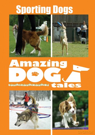 Amazing Dog Tales - Sporting Dogs [DVD]
