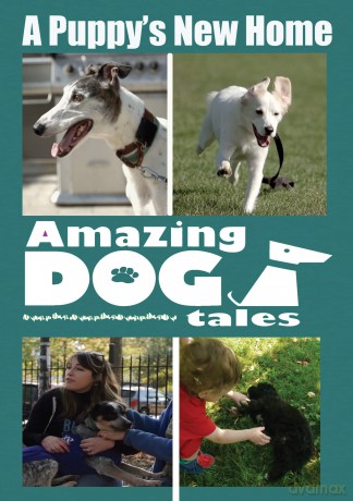 Amazing Dog Tales A Puppy's New Home [DVD]