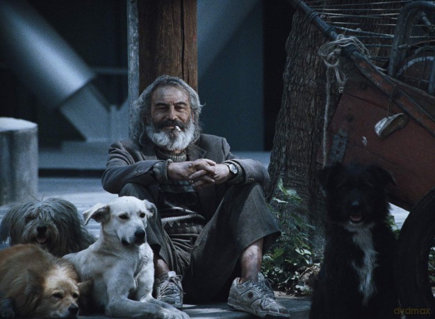 Amores Perros [Blu-Ray]