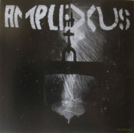 Amplexus-Necessary Intercourses: Amplexus-Necessary Intercourses [CD]