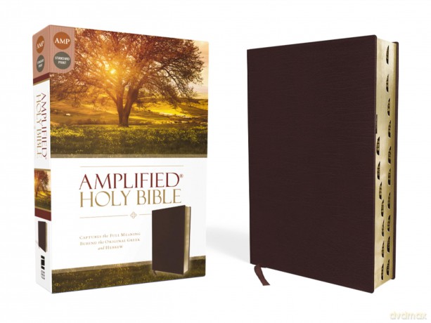 Amplified Holy Bible Bond Lth [KSIĄŻKA]