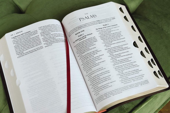 Amplified Holy Bible Bond Lth [KSIĄŻKA]