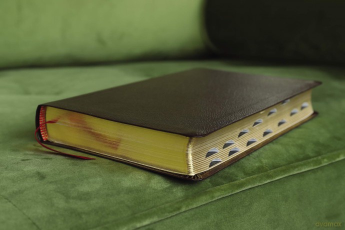 Amplified Holy Bible Bond Lth [KSIĄŻKA]