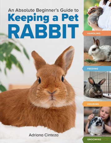 An Absolute Beginners Guide to Keeping a Pet Rabbit [KSIĄŻKA]