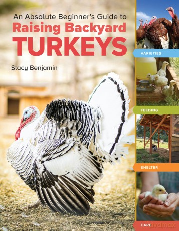 An Absolute Beginners Guide to Raising Backyard Turkeys [KSIĄŻKA]