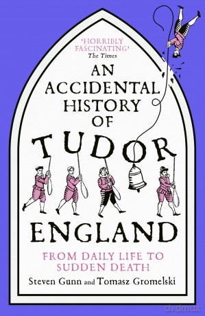 An Accidental History of Tudor England [KSIĄŻKA]