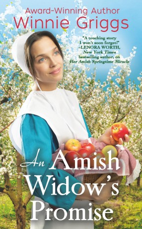 An Amish Widows Promise [KSIĄŻKA]