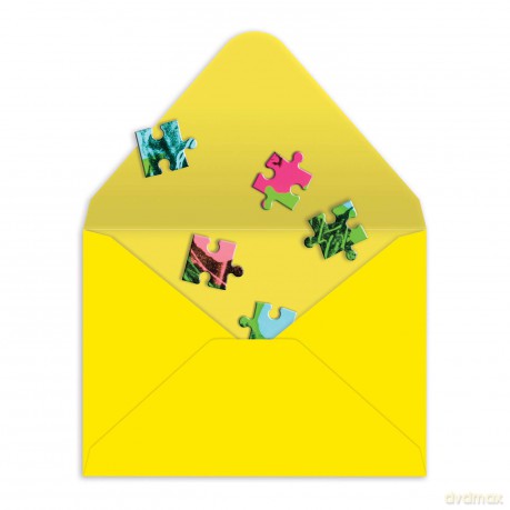 Andy Warhol Flowers Greeting Card Puzzle [KSIĄŻKA]
