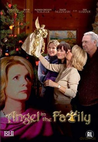 Angel In The Family [DVD]