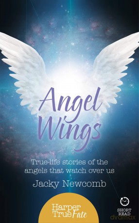 Angel Wings [KSIĄŻKA]